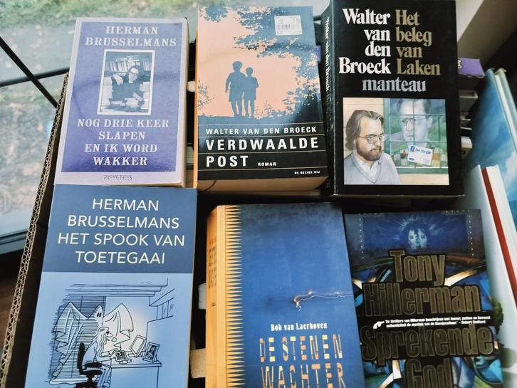 Literatuur Tom Lanoye, Herman Brusselmans ea, Boeken, Literatuur, Gelezen, Ophalen