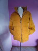 Winterjas maat M/L, Kleding | Dames, Bodywarmers, Ophalen, Maat 38/40 (M)