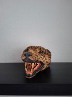 Antieke Luipaard kop taxidermie leeuw tijger, Ophalen of Verzenden, Gebruikt, Wild dier, Opgezet dier