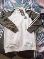 Ensemble  training, Kleding | Dames, Wintersportkleding, Ophalen of Verzenden, Zo goed als nieuw