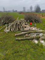 Brandhout, Tuin en Terras, Brandhout, Ophalen