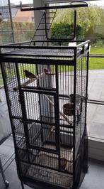 Cage à échanger, Animaux & Accessoires, Oiseaux | Cages & Volières, Comme neuf, Enlèvement, Métal, Volière
