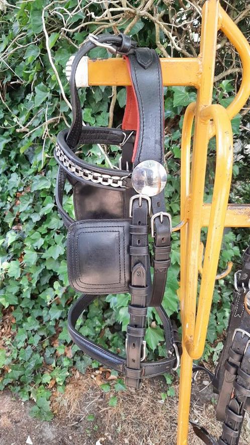 ✔ DIV NIEUWE PROF CHIQUE MENHOOFDSTELLEN FULL Á 65 €  🔴, Dieren en Toebehoren, Paarden en Pony's | Hoofdstellen en Tuigage, Ophalen of Verzenden