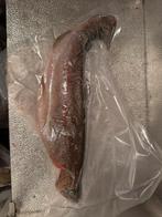 Vers gevangen forel te koop
