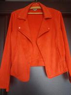 Kort damesjasje, Vêtements | Femmes, Vestes & Costumes, Taille 36 (S), Enlèvement, Orange, Manteau