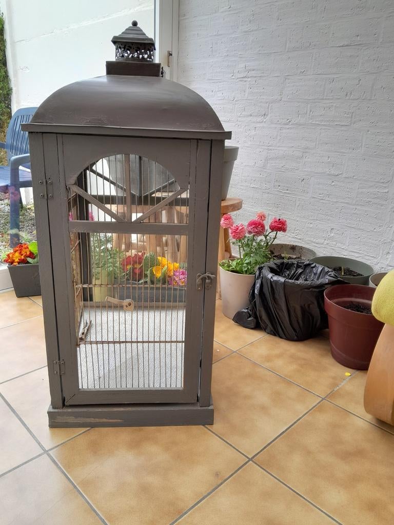 Cage à oiseaux