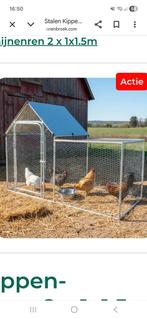 Nieuw kippen-knaagdierenren, Ophalen