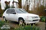 Rallye Peugeot 205, Achat, Entreprise, 2 places, 74 kW