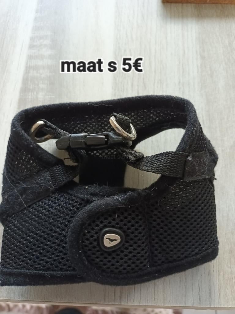 Honden Harnasje maat s, Animaux & Accessoires, Colliers & Médailles pour chiens, Enlèvement ou Envoi