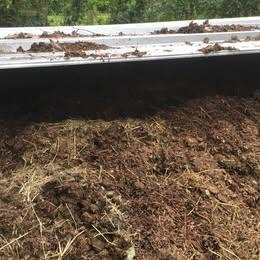 oude paarde mest, Tuin en Terras, Aarde en Mest, Mest, Ophalen