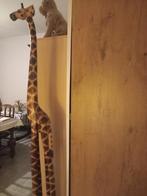 Zeer mooi giraffe, Ophalen