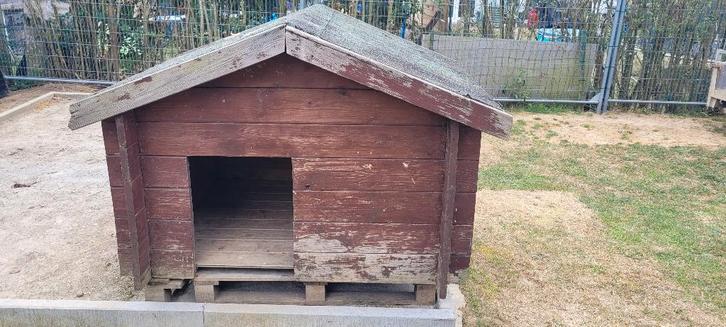 Niche pour grand chien, Animaux & Accessoires, Maisons pour chiens, Utilisé, Niche à chien, Enlèvement