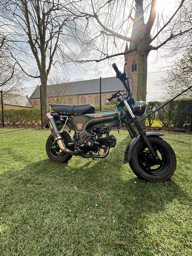Bluroc Heritage 50cc Dax – nette staat, Fietsen en Brommers, Brommers | Overige merken, Zo goed als nieuw, Klasse B (45 km/u)