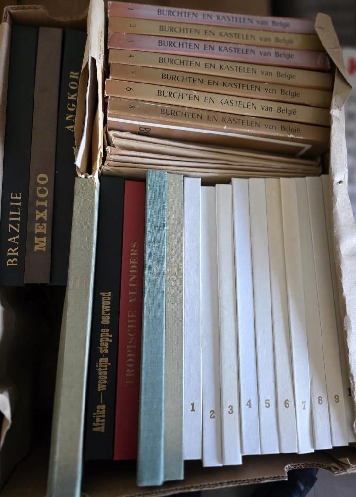 Bananendoos met boeken: Burchten & kast., Europa's erfgoed …, Livres, Livres d'images & Albums d'images, Enlèvement