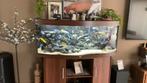 Juwel 450 met Cichliden, Enlèvement, Comme neuf, Juwel