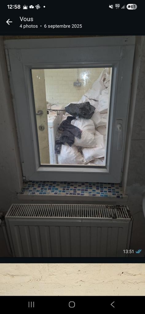 Porte/ chassis fixe / châssis oscillo-battante