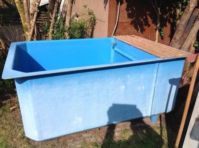 Quarantainebak koi, Dieren en Toebehoren, Vissen | Vijvervissen