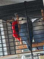 Liefdesvogels, Meerdere dieren, Dwergpapegaai of Agapornis, Pratend