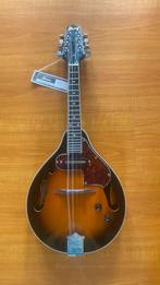 MANDOLINE IBANEZ M510E - BS, Musique & Instruments, Enlèvement, Comme neuf