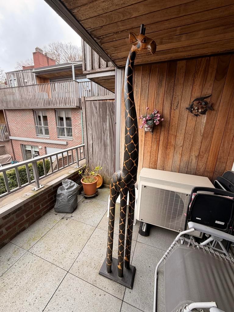 Houten giraffe, Ophalen