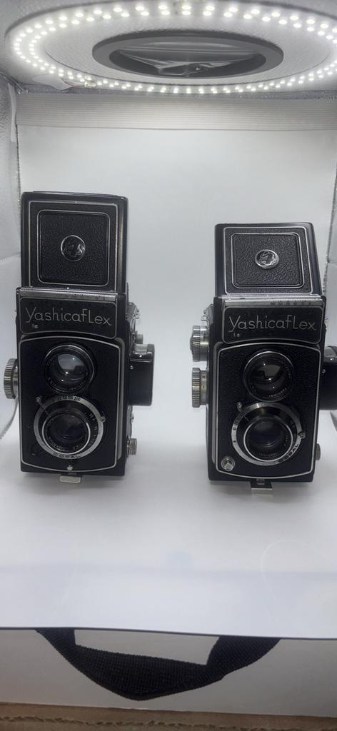 Yashica flex, Collections, Enlèvement