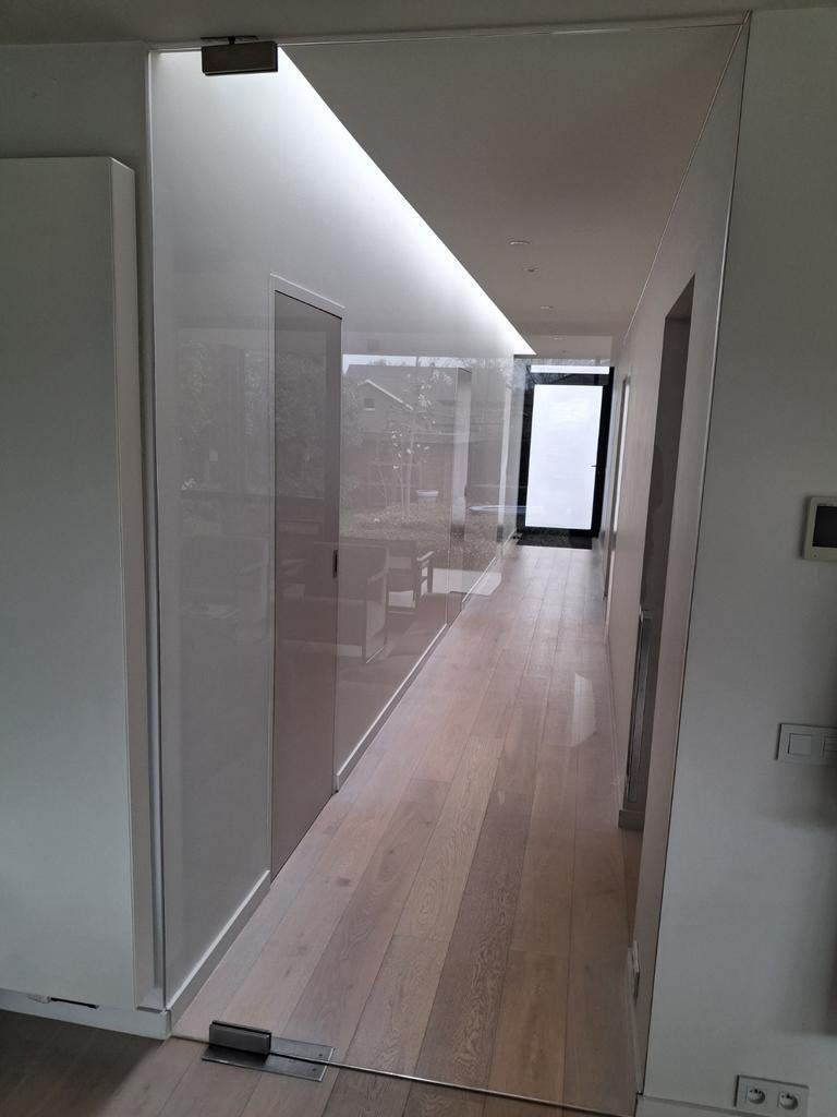 Pivoterende glazen deur (1245 x 2420 mm) gratis, Ophalen, Binnendeur, 120 cm of meer, 215 cm of meer