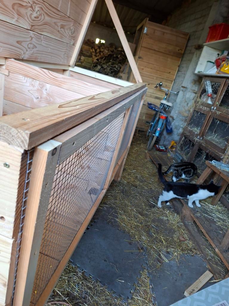 Konijnenhok, Dieren en Toebehoren, Konijnen, Groot