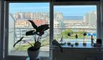 Studio te huur te Westende met zeezicht garage, Immo, Provincie West-Vlaanderen