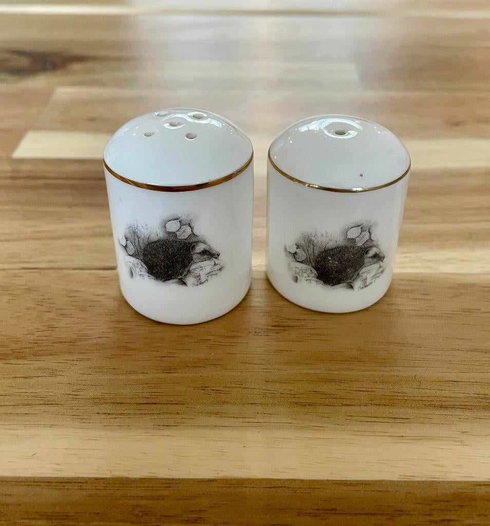 Salière & poivrière Royal Doulton Bone China Made in England, Enlèvement ou Envoi