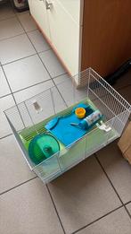 Hamsterkooi, Enlèvement ou Envoi, Moins de 60 cm, Cage, Moins de 75 cm