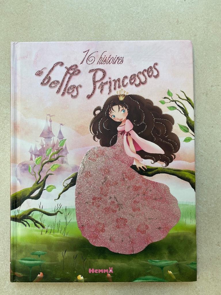 Histoires de belles princesses, Livres, Garçon ou Fille, Enlèvement ou Envoi, Comme neuf, Contes (de fées)
