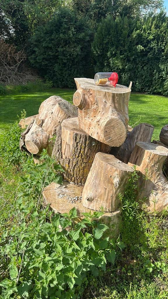 Bois de chauffage parfaitement sec, Tuin en Terras, Brandhout, Stammen, Overige houtsoorten, Minder dan 3 m³, Ophalen