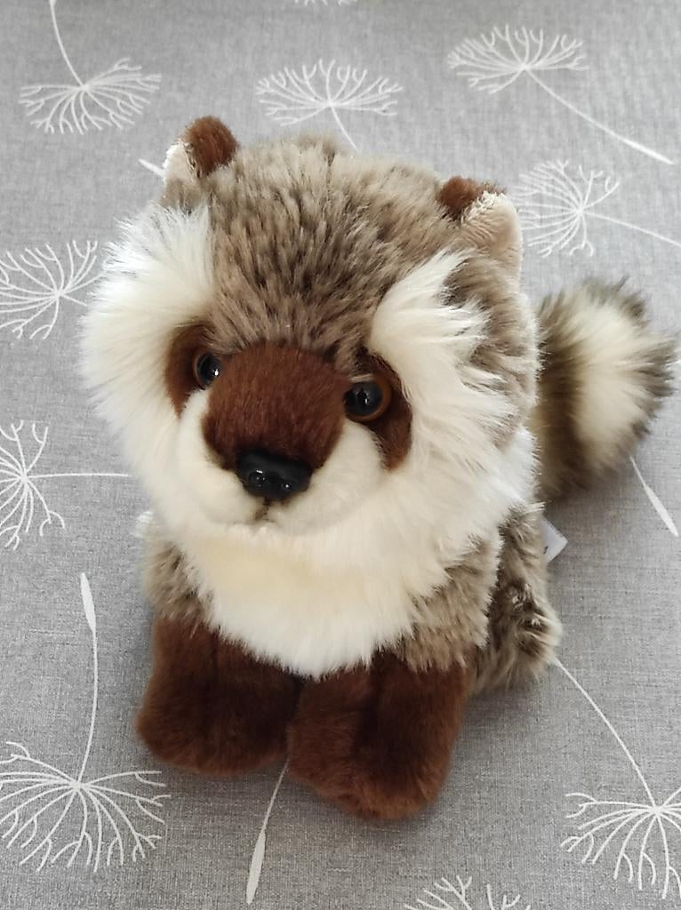 knuffel wasbeer, Ophalen of Verzenden, Zo goed als nieuw