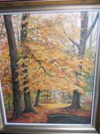 schilderij van natuur en bomen met kader te koop, Antiek en Kunst, Ophalen