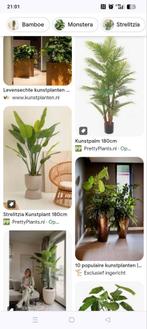 Gevraagt gratis kunst planten boom, Ophalen