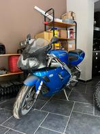 Triumph Daytona 955i, Motos, Motos | Triumph, Particulier