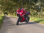 Cbr 650r 2023 A2, Motoren, 4 cilinders, 650 cc, 12 t/m 35 kW, Sport