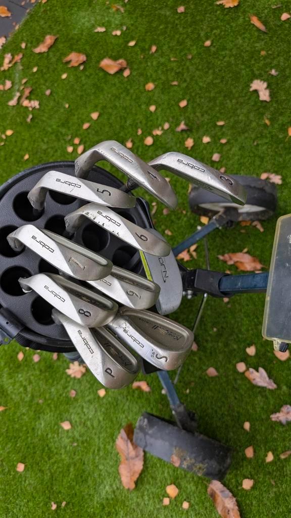 Complete Cobra King Senior 2 Oversized golfset, Sport en Fitness, Golf, Gebruikt, Set, Ophalen