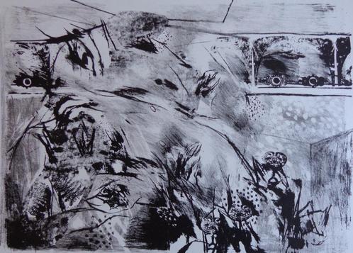 PIERRE VLERICK / ARA / ZW-W LITHO / 50x70cm / SIG / 1967, Antiek en Kunst, Kunst | Litho's en Zeefdrukken, Ophalen of Verzenden