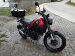 Benelli Leoncino 500 Trail 2020, Motos, Motoren | Benelli, Particulier