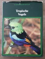 Tropische vogels, Lekturama Rotterdam, Gelezen, Vogels, Ophalen of Verzenden