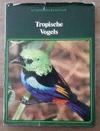 Tropische vogels, Lekturama Rotterdam, Utilisé, Enlèvement ou Envoi, Oiseaux