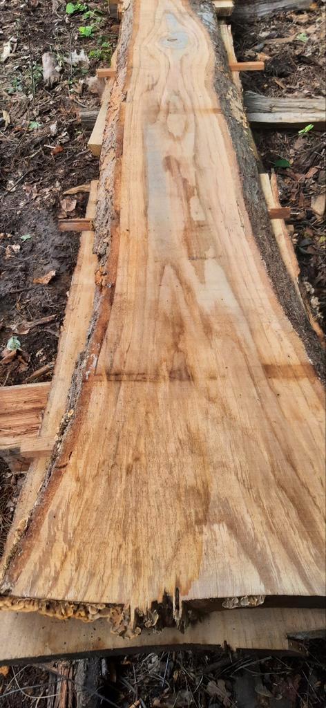 Plateaux de CHÊNE, Tuin en Terras, Palen, Balken en Planken, Zo goed als nieuw, Ophalen