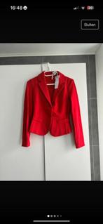 Nieuwe rode blazer Imperial maat XS, Kleding | Dames, Jasjes, Kostuums en Pakken, Ophalen, Nieuw, Jasje, Maat 34 (XS) of kleiner