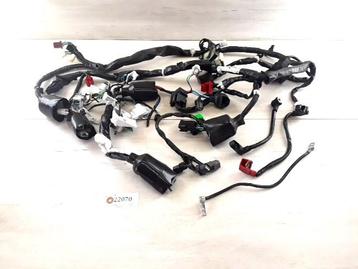 CB125F 2015 - 2020 Honda Kabelboom Kabelboom hoofd D1-39885 beschikbaar voor biedingen