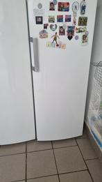 Koelkast / frigo, Elektronische apparatuur, Ophalen