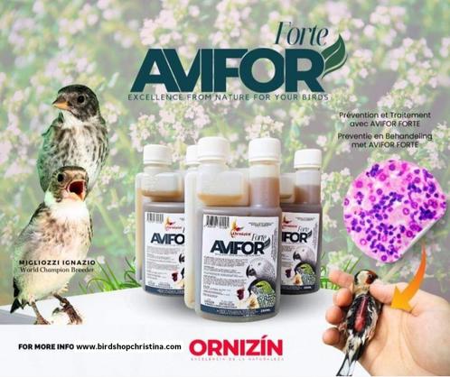 Avifor Forte 250ml Ornizìn - Vogels en Duiven, Animaux & Accessoires, Oiseaux | Accessoires, Neuf, Manger et Boire, Envoi