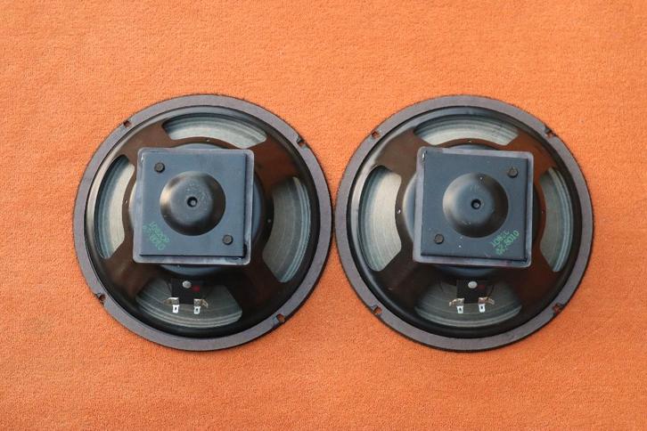 Paire de Haut Parleurs Peavey 10 pouces, Musique & Instruments, Instruments | Accessoires, Utilisé, Enlèvement ou Envoi