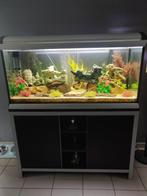 aquarium   voor de rappe alleen vandaag, Zo goed als nieuw, Ophalen