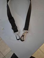 Ceinture pour chien, Animaux & Accessoires, Enlèvement ou Envoi